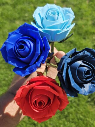 Studenterrose